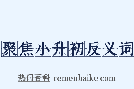 聚焦小升初反义词是什么意思的图片